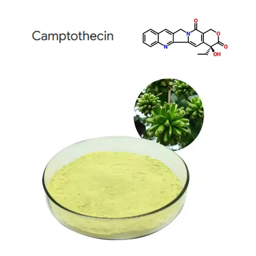 Висока чистота 98% кемптотецин екстракт порошку CAS 7689-03-4